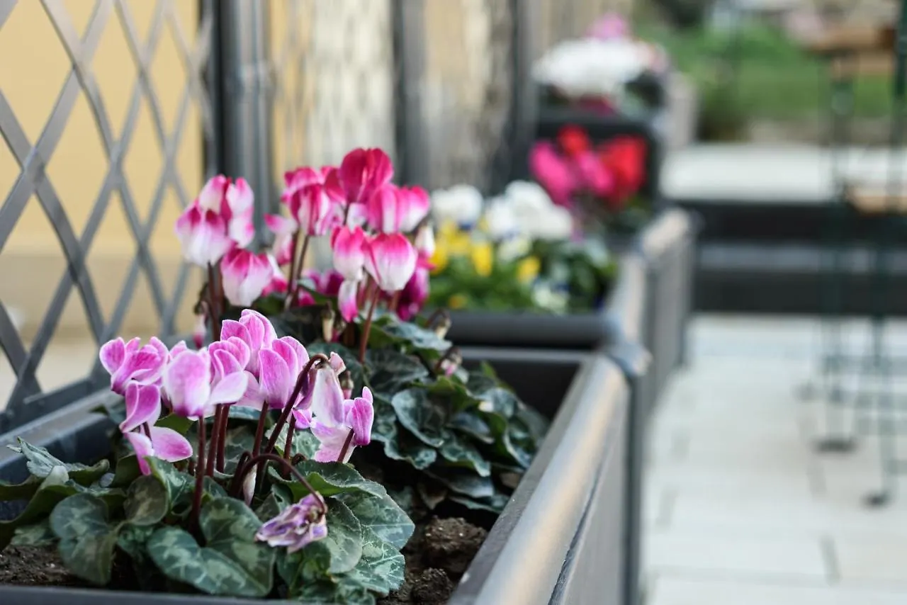 Maria Theresa Rooms & Garden Naples Apartment