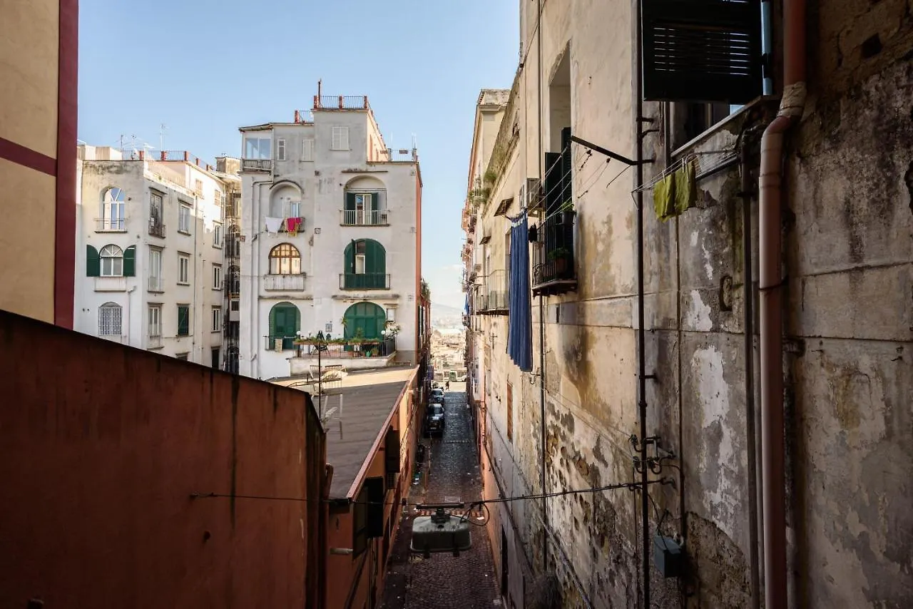 Maria Theresa Rooms & Garden Naples 0*,